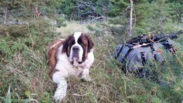 20160909_083735.jpg