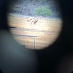 IMG_3006.jpg