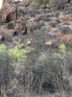 IMG_3009.jpg