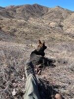 IMG_6413.jpeg