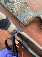 IMG_2059.jpeg