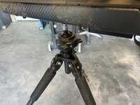IMG_2034.jpeg