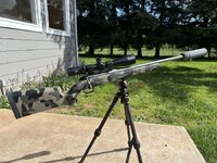 IMG_0317.jpeg