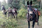 IMG_20170918_142239.jpg