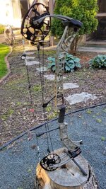 IMG_2446.jpeg