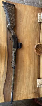 IMG_8527.jpeg