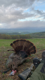 IMG_0140.jpeg
