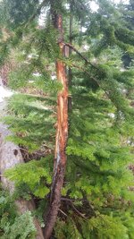 20201104_153957 (.jpg