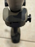 IMG_2589.jpeg