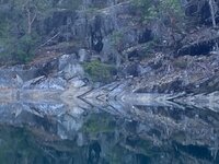 IMG_4918.jpeg