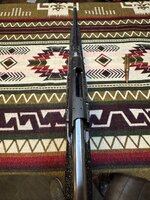 IMG_1689.jpeg