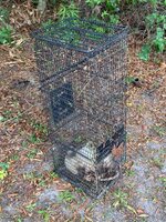 IMG_2110.jpeg