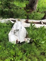 IMG_5668.jpeg
