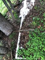 IMG_5664.jpeg