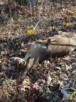 IMG_0192.jpeg