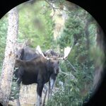 IMG_7232.jpeg