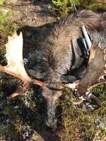IMG_0812.jpeg