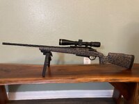IMG_8911.jpeg