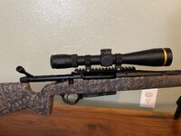 IMG_8913.jpeg