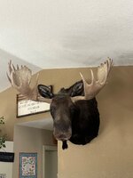 IMG_7232.jpeg