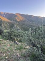 IMG_4058.jpeg