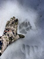 IMG_4914.jpeg