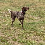 IMG_0324.jpeg