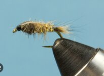 IMG_0564.jpeg