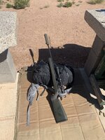 IMG_5104.jpeg