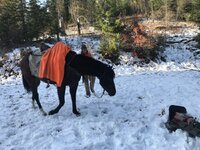 IMG_0925.jpeg
