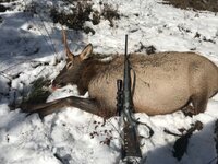 IMG_0902.jpeg