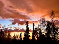 IMG_2833.jpeg