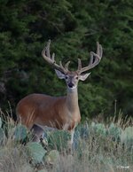 02-IMG_4300X-Standard.JPG