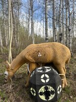 IMG_8136.jpeg