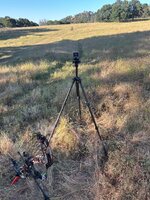 IMG_9247.jpeg
