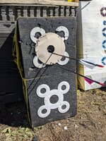 PXL_20250510_140359152.jpg