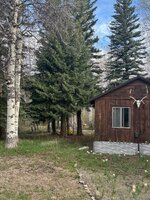 IMG_8135.jpeg