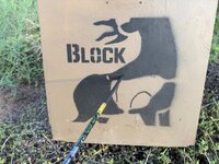 IMG_7193.jpeg