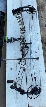 IMG_3736.jpeg