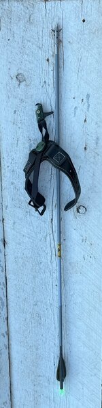 IMG_3739.jpeg