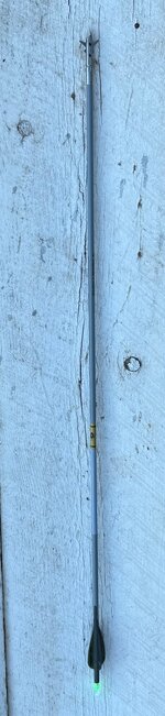 IMG_3738.jpeg