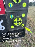 IMG_9231.jpeg