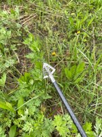 IMG_6861.jpeg