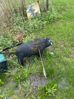 IMG_6857.jpeg