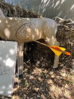 IMG_8747.jpeg
