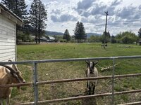 IMG_2312.jpeg