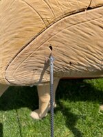 IMG_1112.jpeg