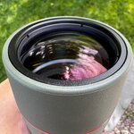 IMG_8090.jpeg