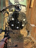 IMG_0113.jpeg