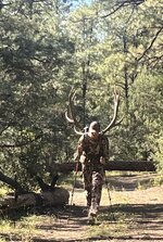 IMG_9744.jpeg
